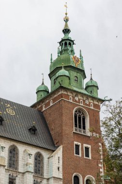 Krakow 'daki Wawel kalesinin manzarası. Çatıda altın harfler