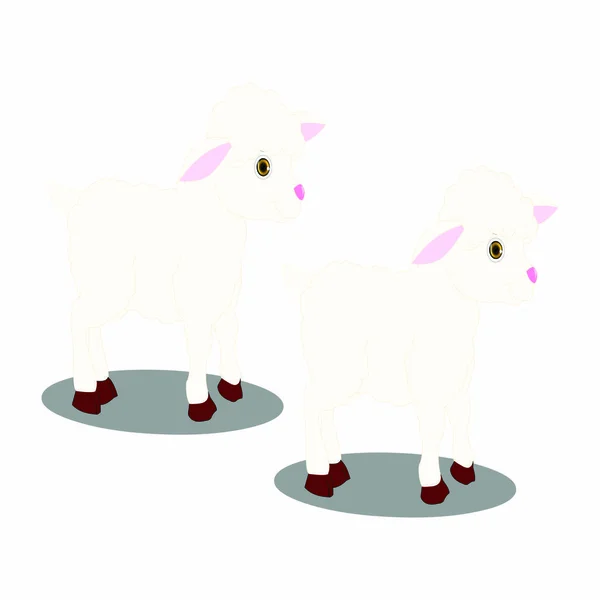 Két Bárány Cartoon Vector Image — Stock Vector