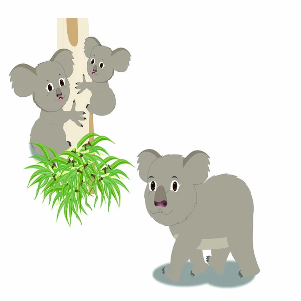 Grauer Koalabär Mit Zwei Baby Koalabären Cartoon Vektorbild — Stockvektor
