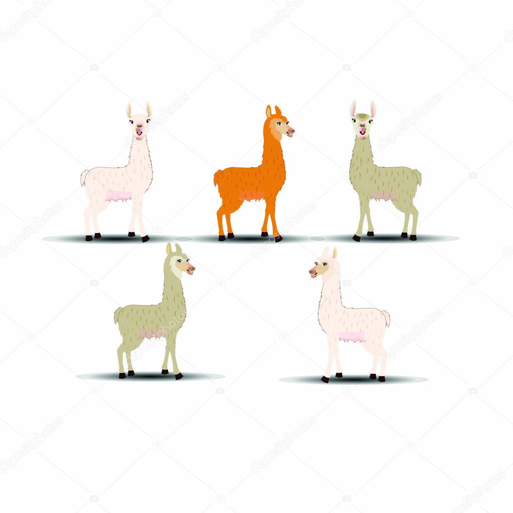 Llama - Cartoon Vector Image Collection