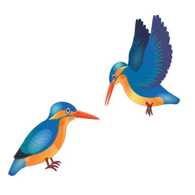 Kingfisher Uçan ve Oturan - Çizgi film Vektör ResmiComment