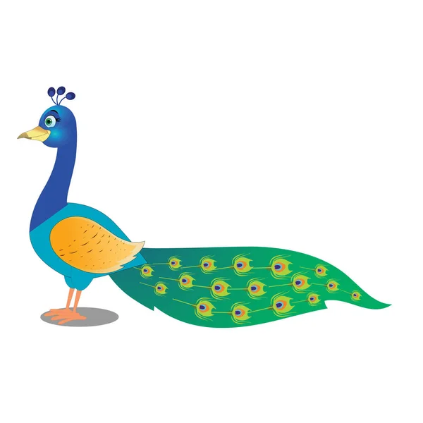 Beautiful Peacock Cartoon Vector Image — Stock Vector