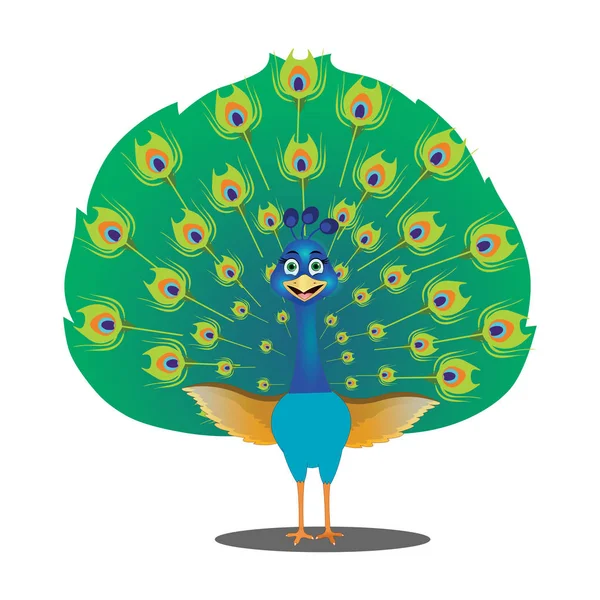 Baile Del Pavo Real Con Plumas Abiertas Imagen Vectorial Dibujos — Vector de stock