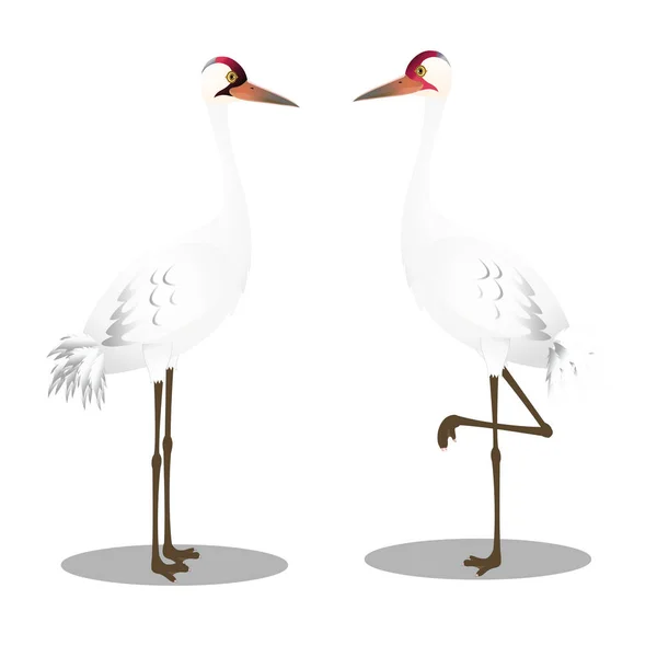 Boğucu Turnalar - Çizgi film Vektör ResmiStencils