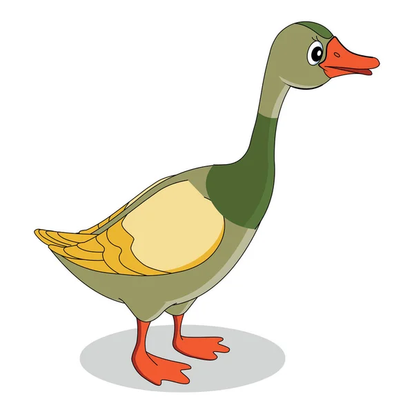 Solo Pato Imagen Vectores Dibujos Animados — Vector de stock