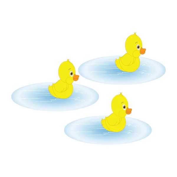 Tres Patitos Agua Imagen Vectorial Dibujos Animados — Vector de stock