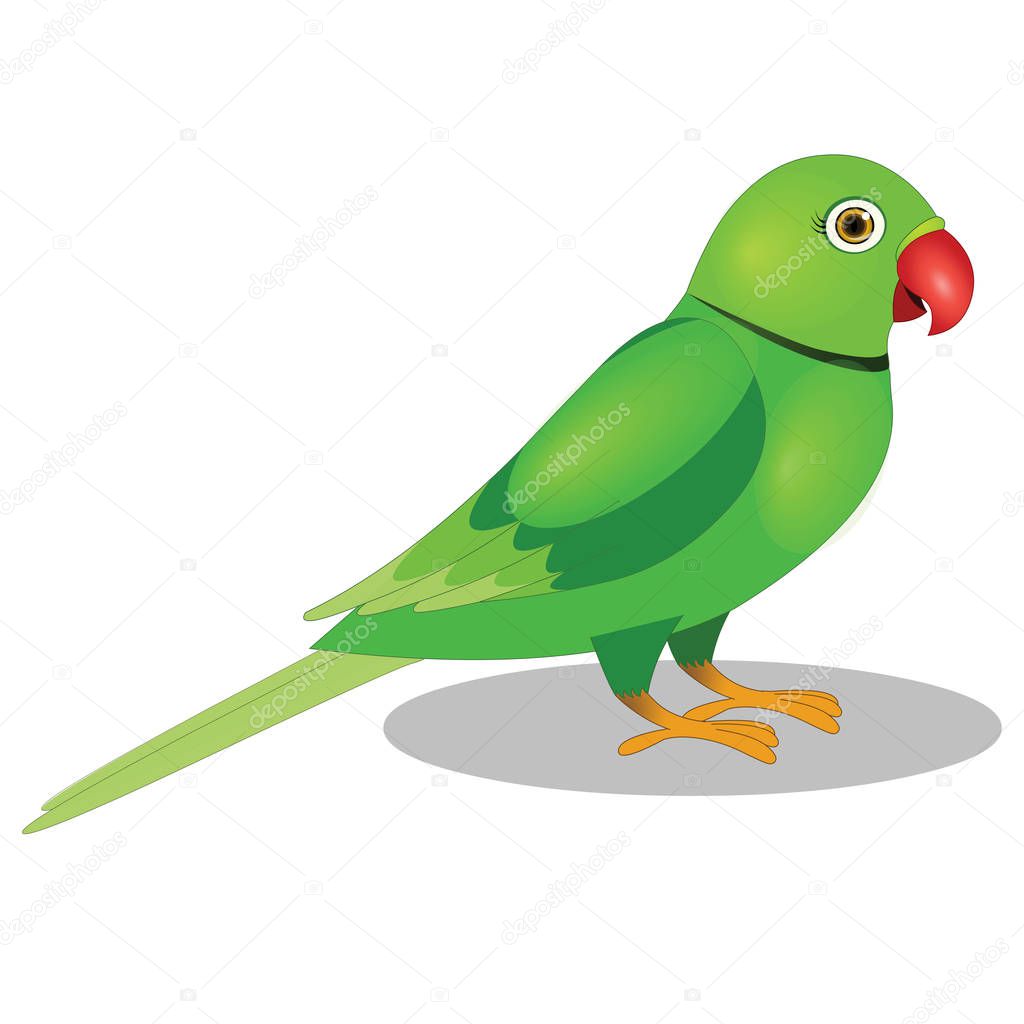 Beautiful Green Parrot - Vector Image