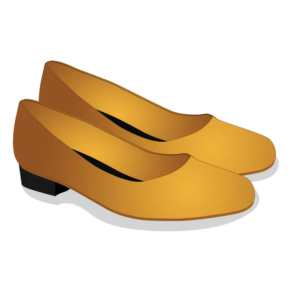 Brown Ladies Shoes Cartoon Vector Image — стоковий вектор