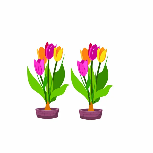 Dois Belos Vasos Flores Cartoon Vector Image —  Vetores de Stock