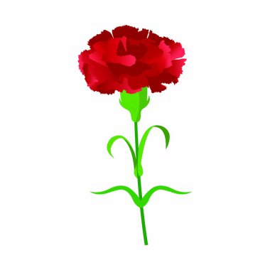 Kırmızı Karanfil Çiçeği - Vektör Resmi