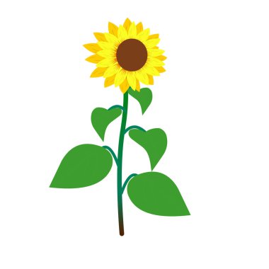 Bir Ayçiçeği - Çizgi film Vektör Resmi