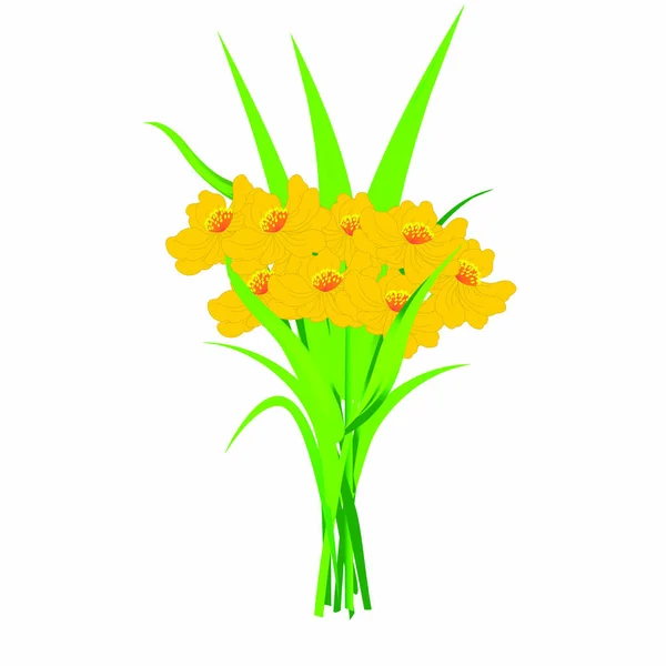 Bouquet Yellow Flowers Vector Image — Stock Vector