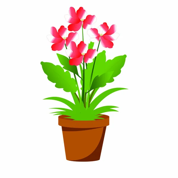 Vaso Flores Com Planta Florido Cartoon Vector Image —  Vetores de Stock