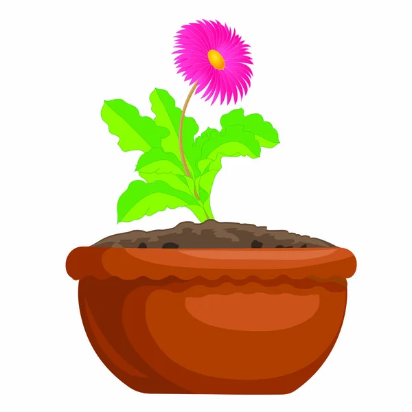 Planta Floração Vaso Cartoon Vector Image —  Vetores de Stock