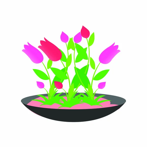 Flowering Plants Pot Vector Image — Stock Vector