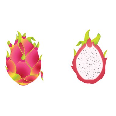 Ejder Meyveleri Bütünüyle ve Yarı- Karikatür Vektör ResmiName