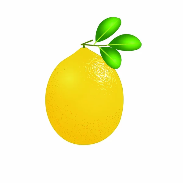 Yellow Sweet Lime Desenhos Animados Imagem Vetorial — Vetor de Stock