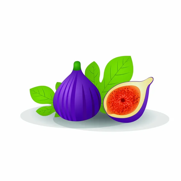 Fig Roxo Frutas Integrais Meio Secas Desenhos Animados Imagem Vetorial — Vetor de Stock