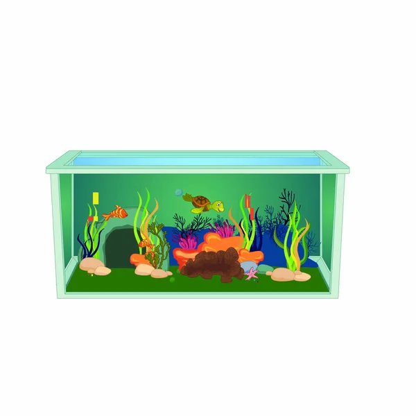 Tanque Peixe Com Tartaruga Bebê Coral Cartoon Vector Image —  Vetores de Stock