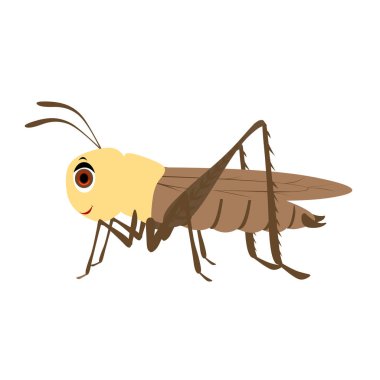 Yerdeki Çekirge - Çizgi film Vektör ResmiStencils