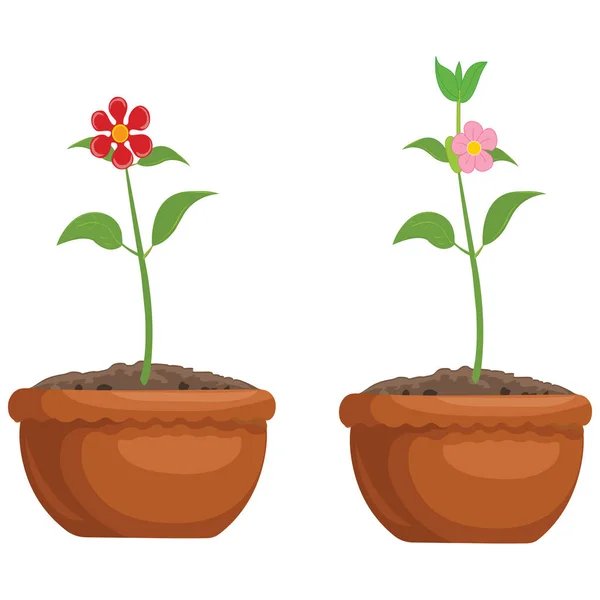 Plantas Floração Vasos Flores Cartoon Vector Image —  Vetores de Stock