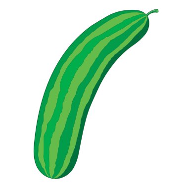 Sulu Yeşil Salatalık - Çizgi Film Vektör ResmiComment