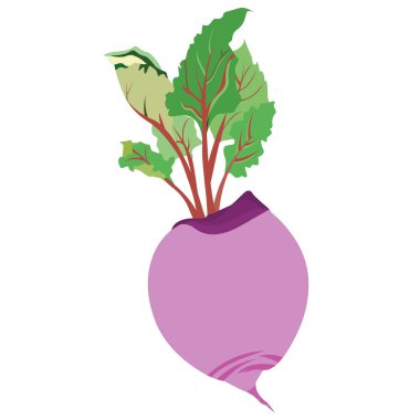 Mirabeau Turpu - Karikatür Vektör Görüntüsü