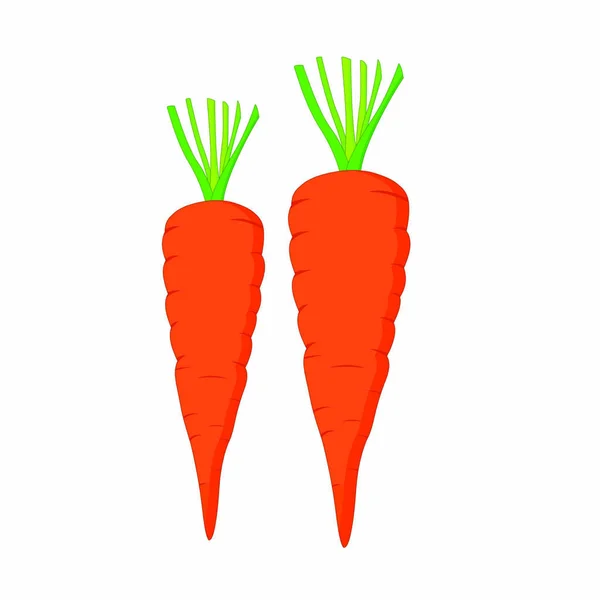 Two Carrots Cartoon Vector Image - Stok Vektor