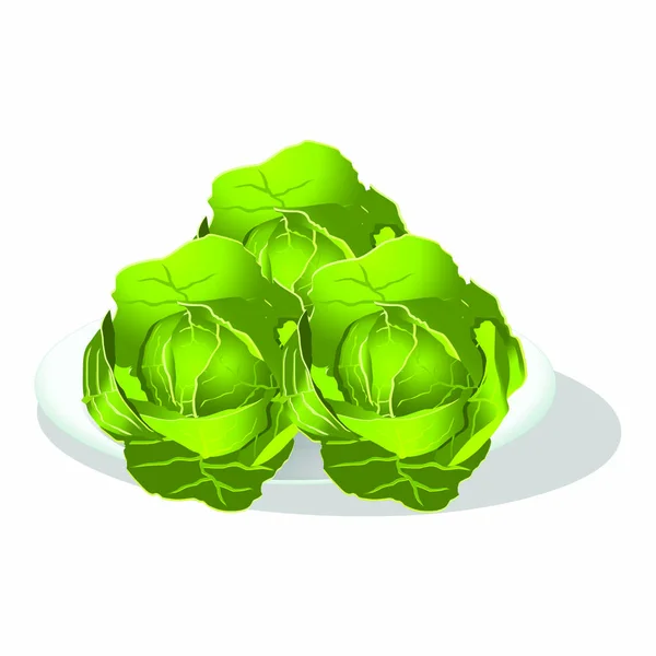 Green Leafy Cabbages Cartoon Vector Image — Stock Vector