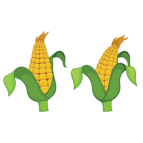 Two American Corn Cartoon Vector Image — стоковый вектор