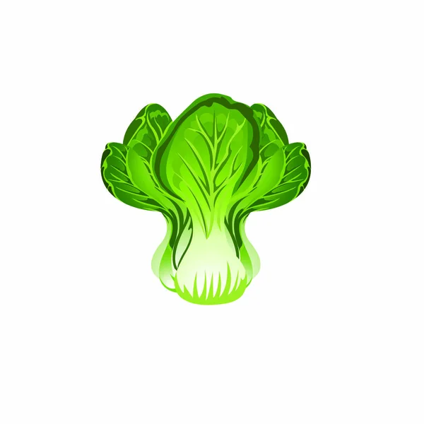 Green Lettuce Cartoon Vector Image — Stock Vector