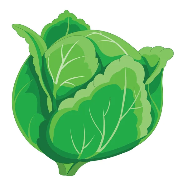 緑の葉のキャベツの野菜 漫画のベクトル画像 — ストックベクタ