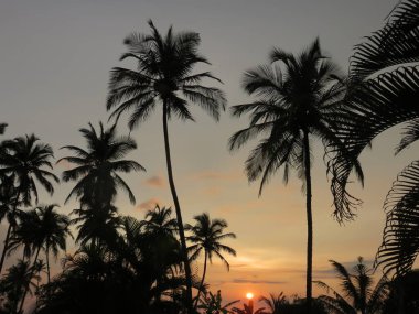 Güneşin Yüksek Kaliteli Manzarası
