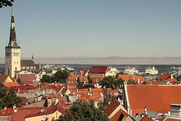 Veduta Della Chiesa Sant Olaf Estonia — Foto Stock