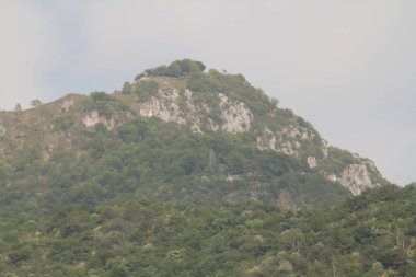 Yeşil Ağaçlı Tepe Üst Görünümü