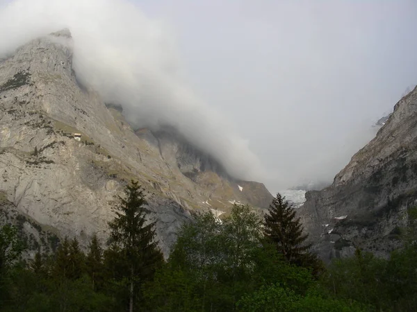 Wolken Berg Und Blick Auf Den Wald — Stockfoto