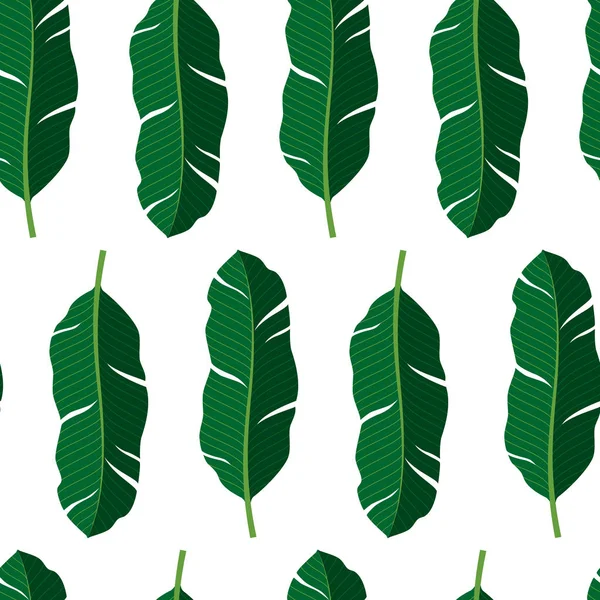 Płynny Wzór Tropikalnych Zielonych Liści Wektorowa Ilustracja Lata Białym Tle — Wektor stockowy