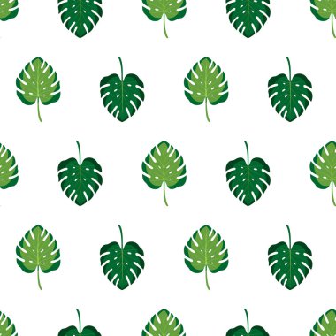 Beyaz arka planda canavar yaprakları olan kusursuz bir desen. Yazın vektör illüstrasyonu. Yeşil tropik yapraklı egzotik duvar kağıdı. Ağ, pankart, yapıştırma kitabı, kumaş baskısı, ambalaj.