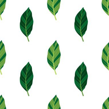 Yeşil yapraklı, pürüzsüz yaz deseni. Beyaz arkaplanda vektör illüstrasyonu. Tropik yapraklı egzotik duvar kağıdı. Web tasarımı, afişler, hatıra defteri, kumaş, ambalaj, torbalar için.