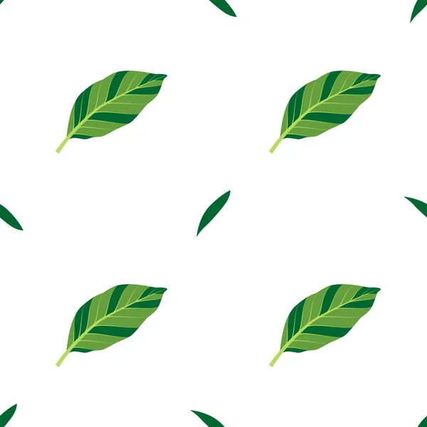 Letní Hladký Vzor Zelenými Listy Vektorové Izolované Ilustrace Tropickými Listy — Stockový vektor