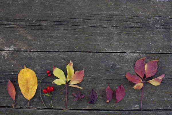 Осенние Листья Деревянном Столе — стоковое фото
