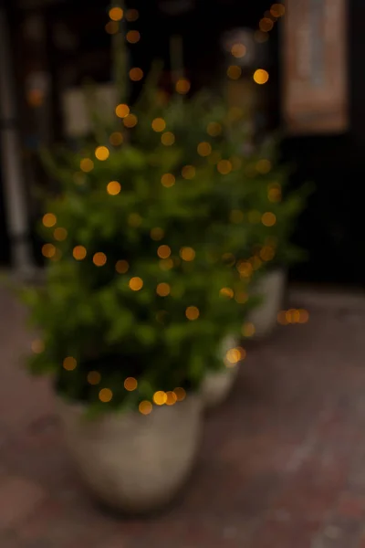 Luces Borrosas Guirnaldas Árboles Navidad Cerca Cafetería — Foto de Stock