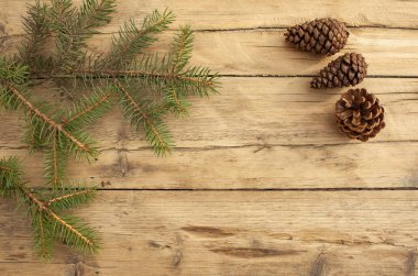 Ahşap bir arka planda ladin konileri ve dalları