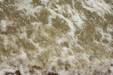 Nehir kıyısındaki bir dalganın suları.