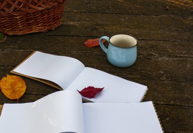 İki açık defter, ahşap bir masada ve mavi bir fincanda yatıyor.
