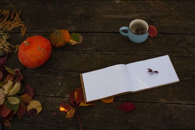 Bir açık defter, ahşap bir masada ve mavi bir fincanda yatıyor.