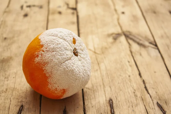 Tahta bir masanın üzerinde küfle kaplı bir portakal yatıyor.