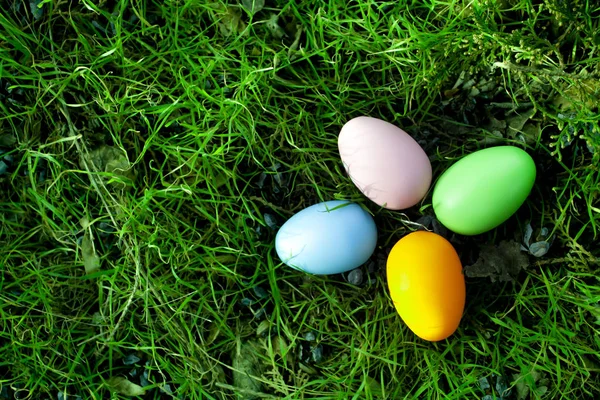 four multi-colored Easter eggs lie in the green grass. Easter background. Easter decoration.