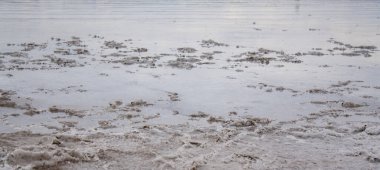 Daha önce tuz çıkarılan haliçlerin kıyısı..