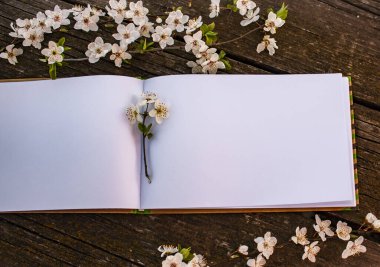 Ağaç dalları, ahşap bir masanın üzerinde, boş beyaz bir defter üzerinde uzanır.